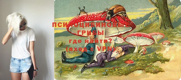 кокс Алагир